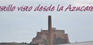 Castillo Desde Azucarera Monzon